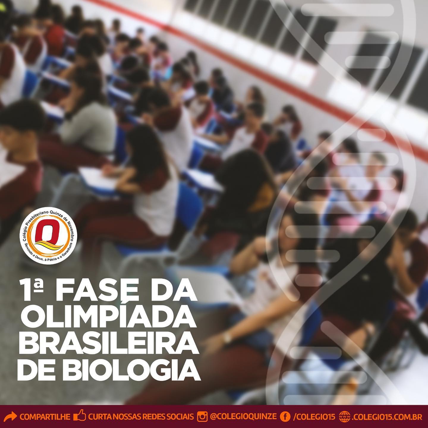 334952928 1609693479494930 3528292409487043778 n