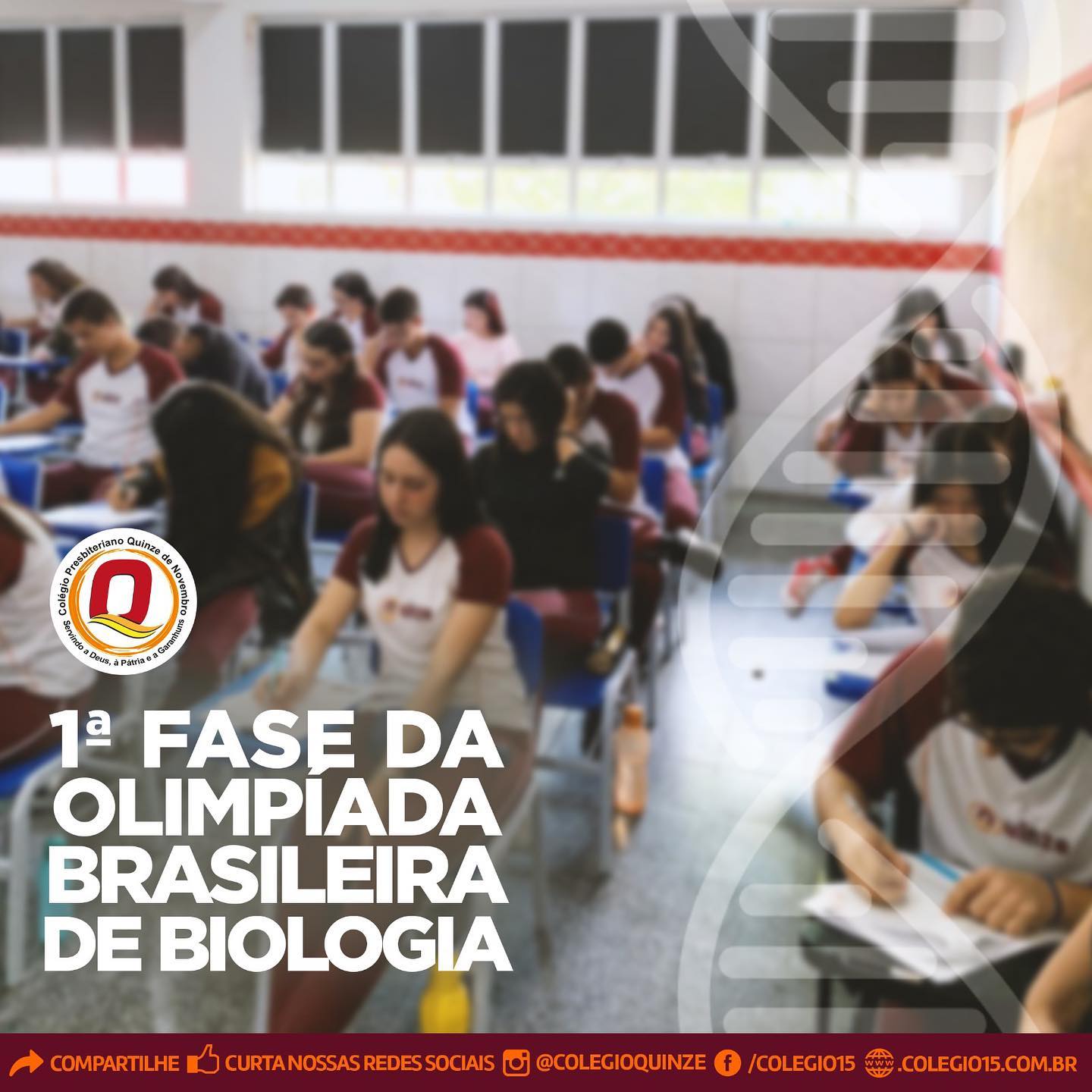 334952928 872489254047496 5362450593642269002 n