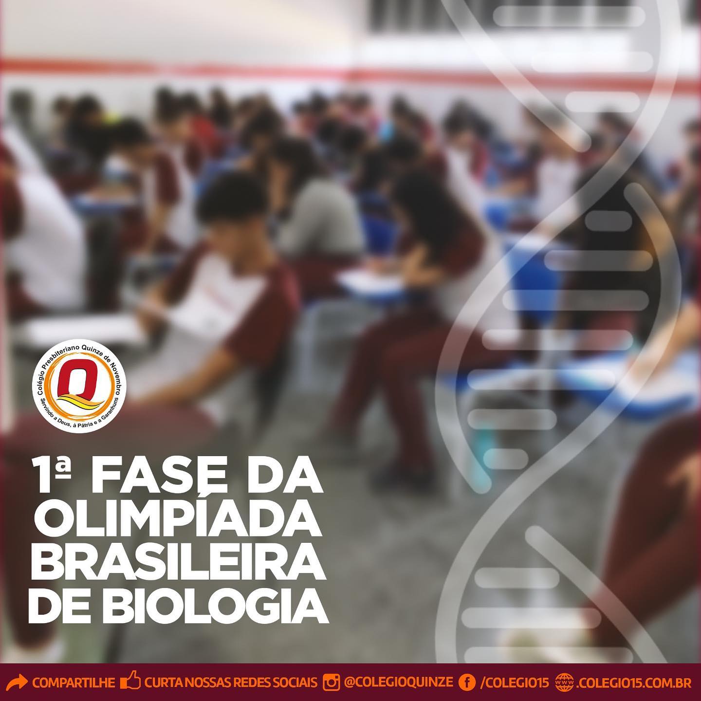 335057646 163291989867074 1320357678725407658 n