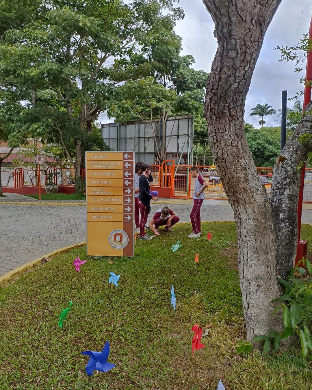 337081801 173756825517059 2175548917308407744 n