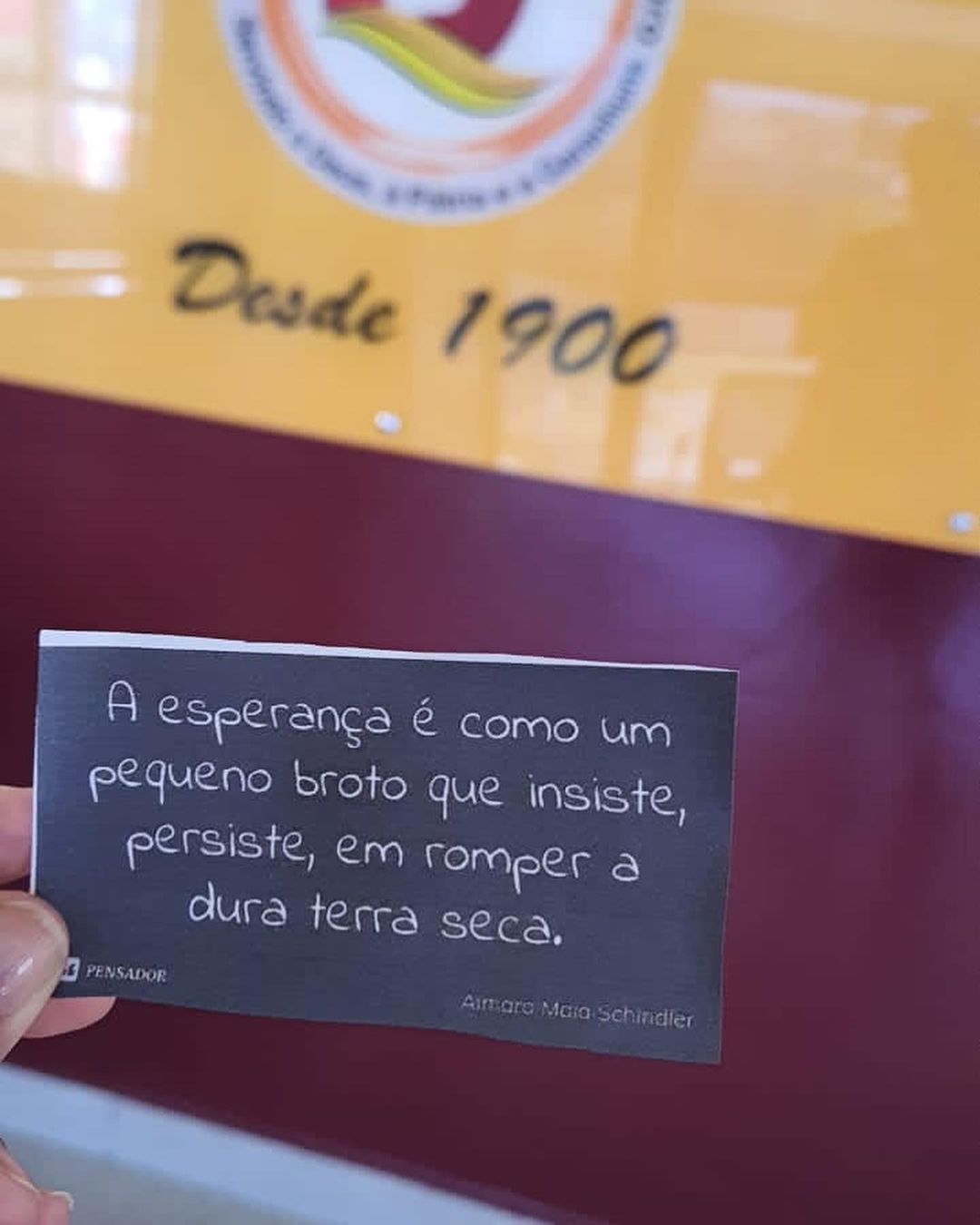 337081801 173756825517059 2175548917308407744 n