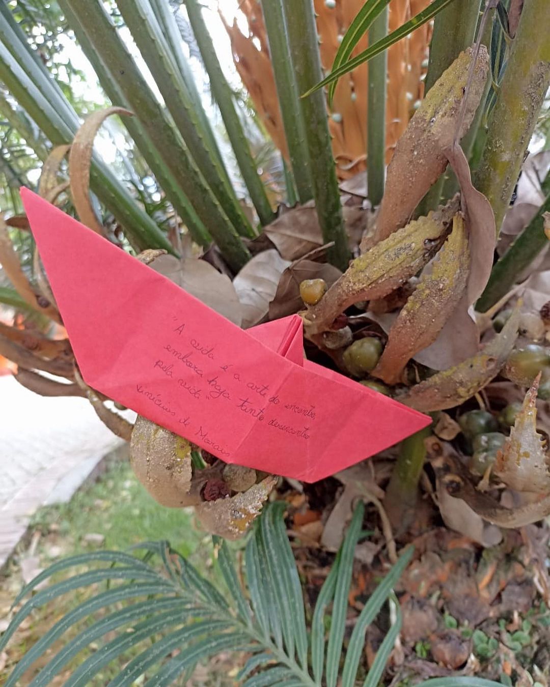 337081801 173756825517059 2175548917308407744 n