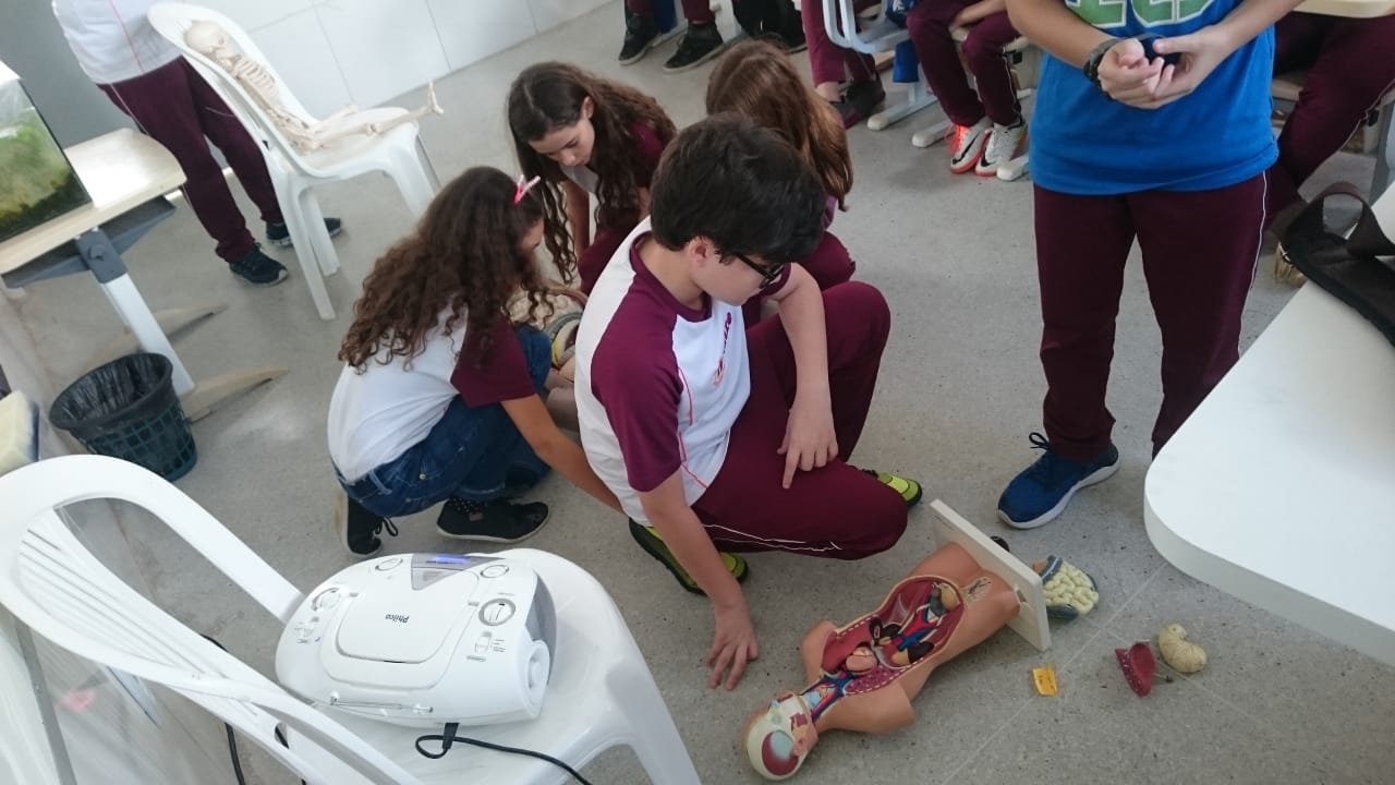 WhatsApp Image 2018 08 28 at 16.18.34 1