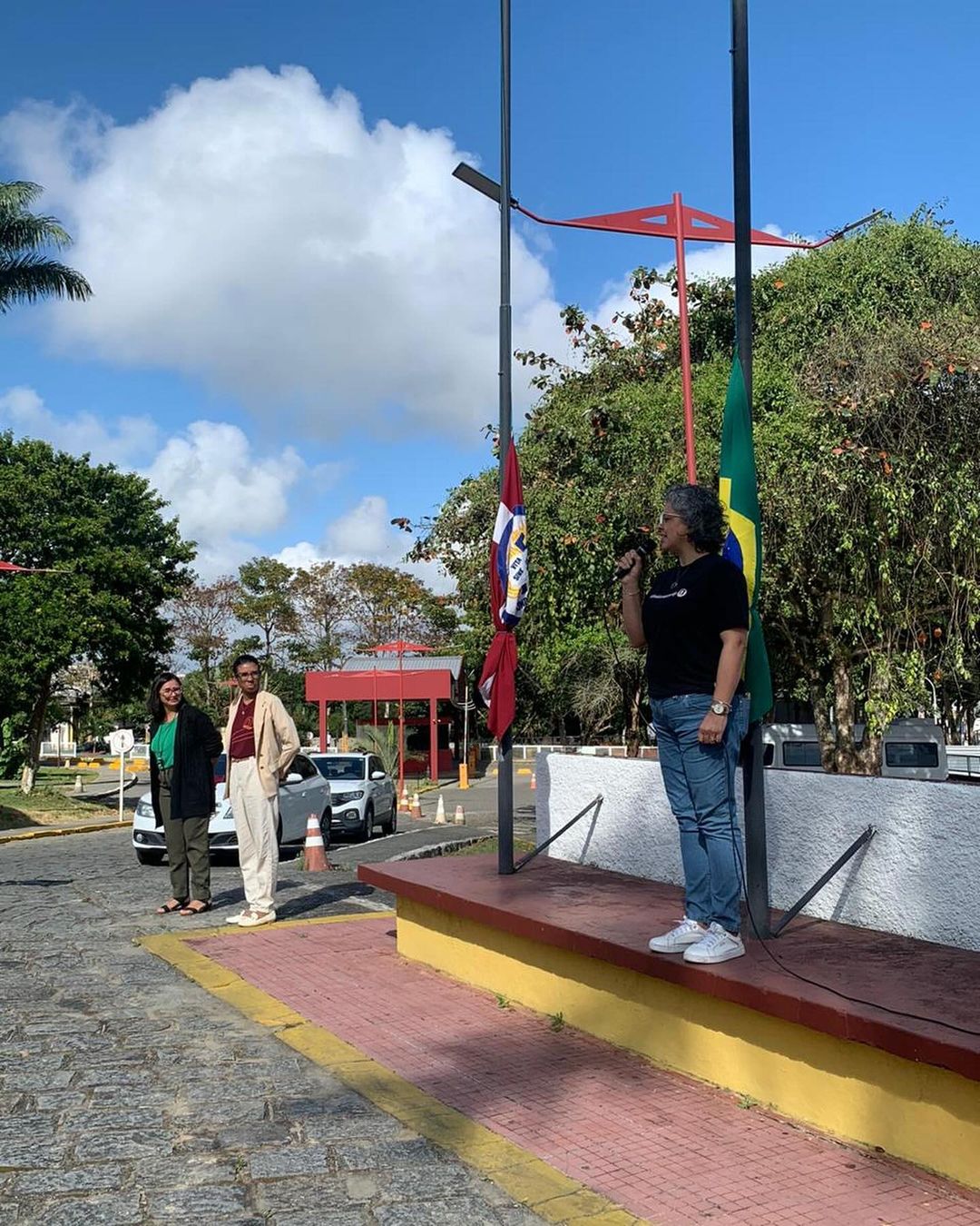 desfilesanosfinaisxv 3